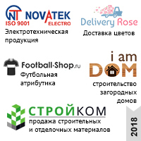 SEO продвижение (2018 г. кейсы) актуальные примеры работ
