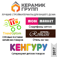 SEO продвижение (2017 г. кейсы) актуальные примеры работ