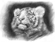 Рисунок карандашом