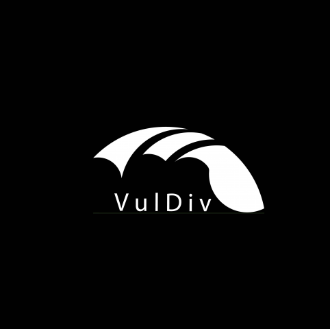 VulDiv