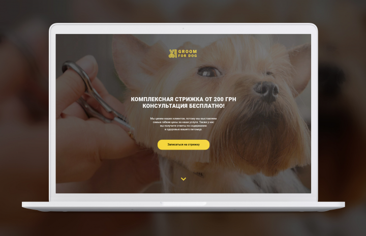 Landing Page для груминг салона