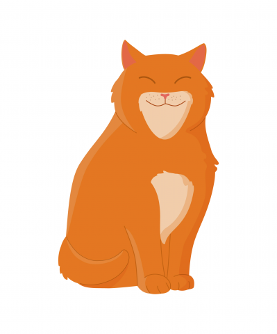 Кот