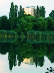 Работа 2450860