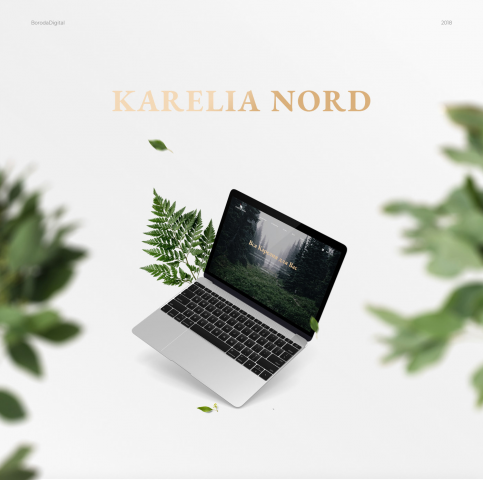 Редизайн сайта Karelia Nord