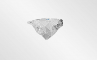 Логотип WhiteBear