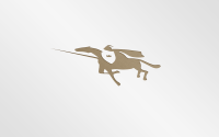 Luxury Horse