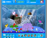 Aquarium