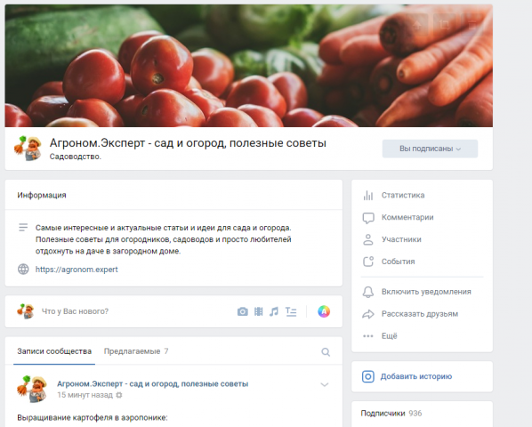 Ведение группы в соц. сетях. Тема "Сад и огород"