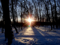 Пейзаж