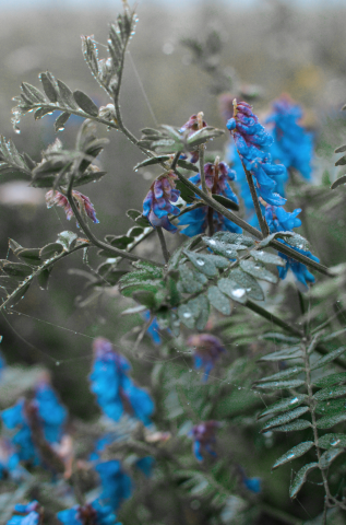 Работа 3969386