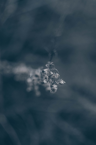 Работа 3969385