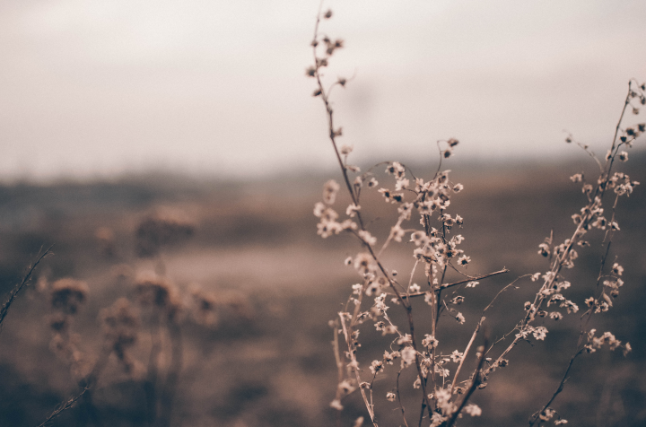 Работа 3969383