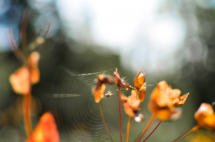 Работа 3969366