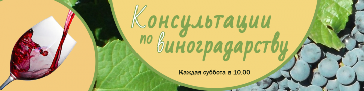 Создание сообщества для продвижения