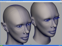 3D-модель головы.
