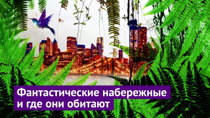 Youtube Channel Илья Варламов