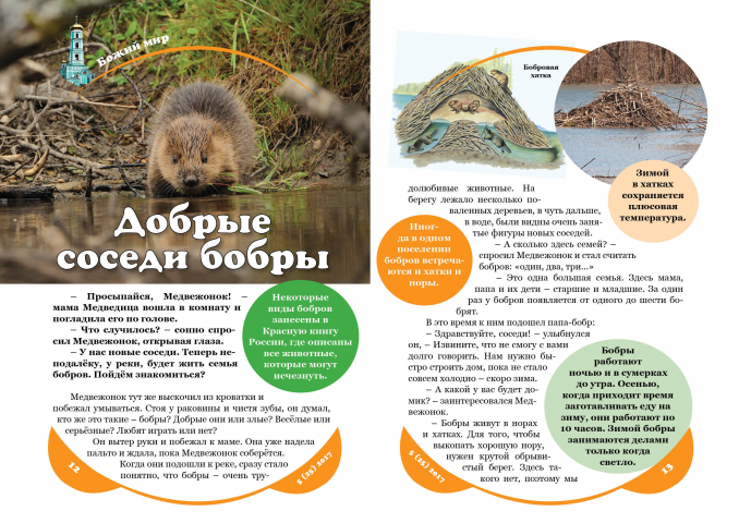 Верстка журнала "Пермский медвежонок"