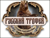 Баннер студии такседермии