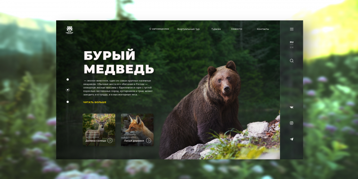 Лендинг для заповедника