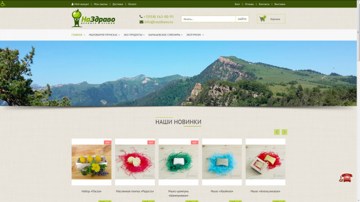 Разработка и поддержка ИМ для ИП «Прунскас»