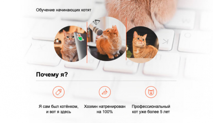 Одностраничный сайт "кекс"