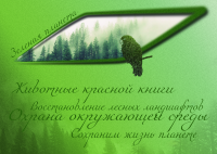 Социальная реклама