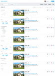 Real Estate