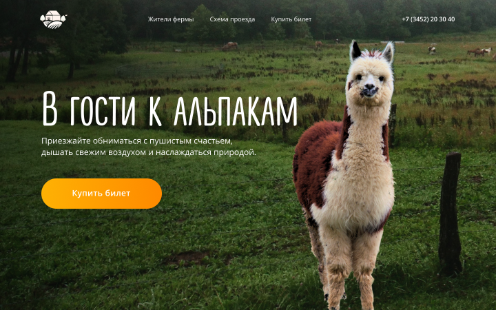 Концепт первого экрана "Ферма альпака"