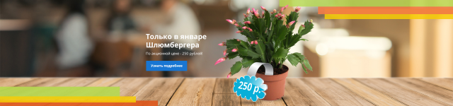 Двухслойный баннер для сайта с адаптивным дизайном