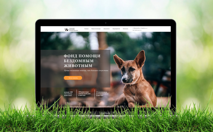 Главная страница сайта для фонда помощи