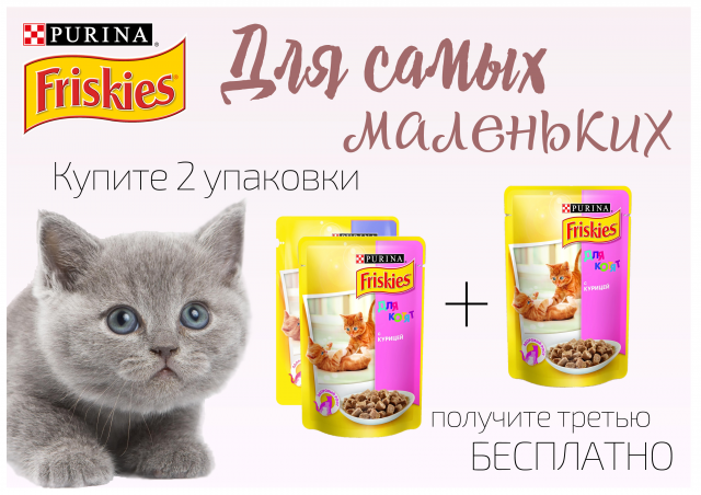 реклама корма для котят
