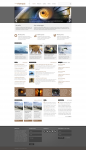 Дизайн темы для Wordpress