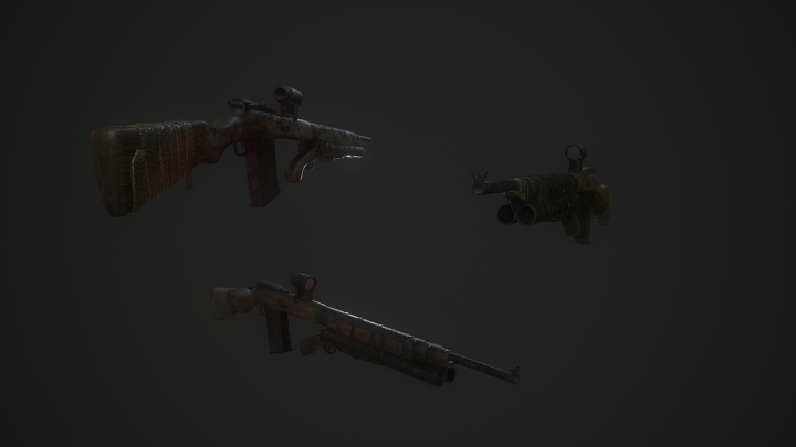 Shotgun rifle