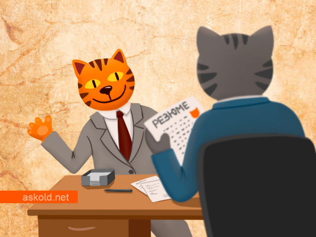 Кот для блога