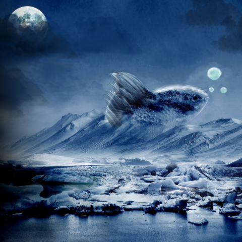 frozen fish