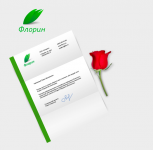 Фирменный стиль магазинов «Флорин»