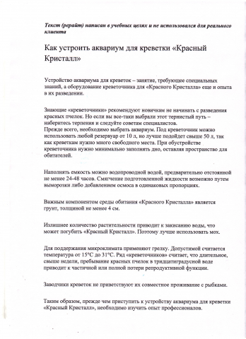 Как устроить аквариум для креветочника