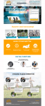lading page