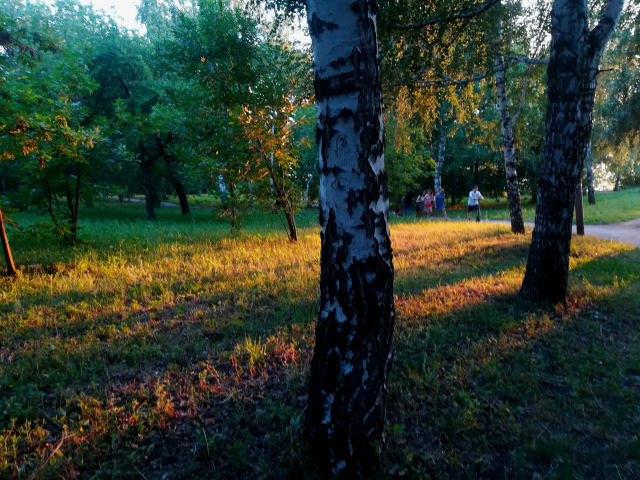 парк Горького, Самара