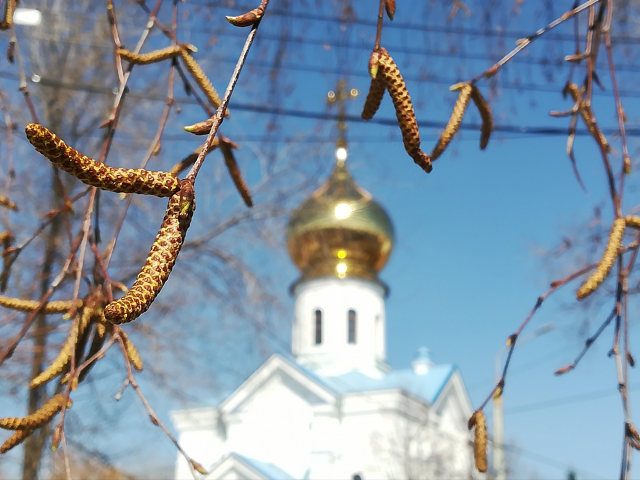 весна