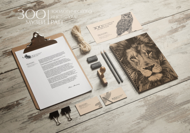 Ребрендинг Зоологисекого музея РАН (дипломный проект)