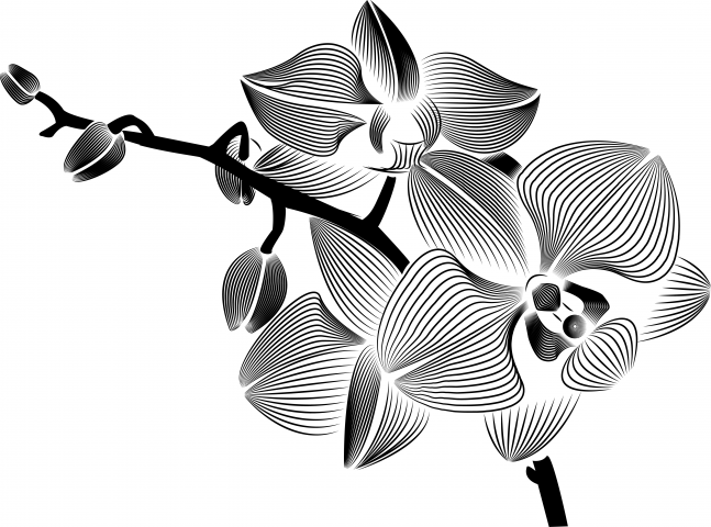 Linocut flower
