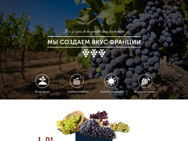 Landing Page для продажи французского вина