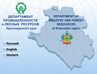 Мультимедиа презентация для Департамента промышленности и лесных