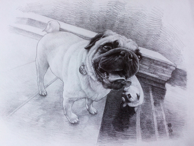 Работа 3792490