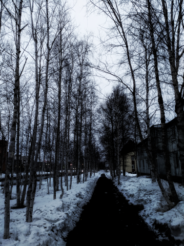 Работа 3958118