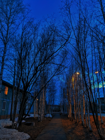 Работа 3958116