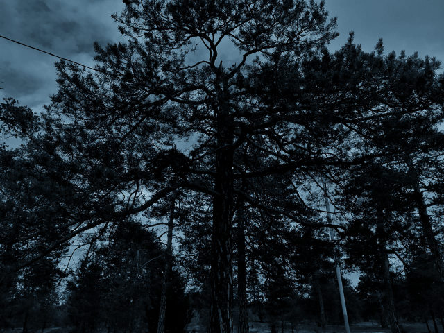 Работа 3958113