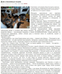 Дом спасенных кошек