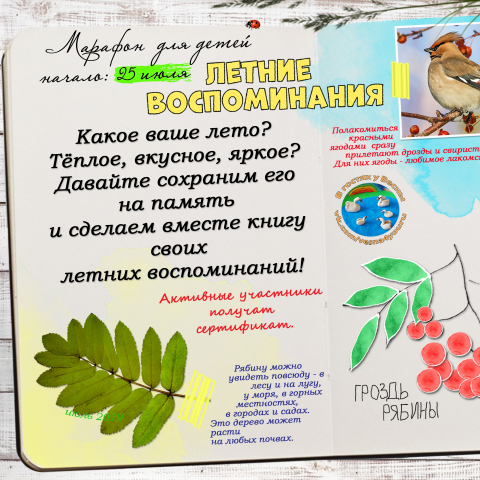 реклама марафона для группы в вк